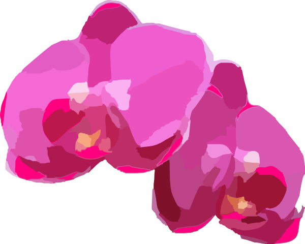 Pink Orchids Clip Art - Orchid Png Vector (600x480)
