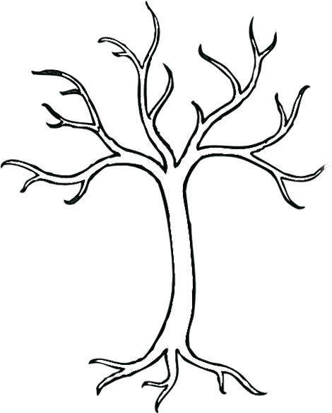 Tree Without Leaves Coloring Pages - Simple Dead Tree Drawing (480x583)