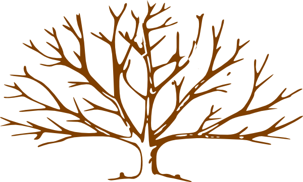 Bare Tree Clipart (600x361)