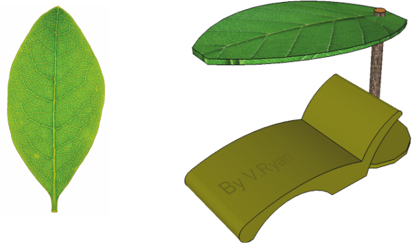 The Leaf Is The Ideal Shape For Creating Shade And - The Leaf Is The Ideal Shape For Creating Shade And (600x354)