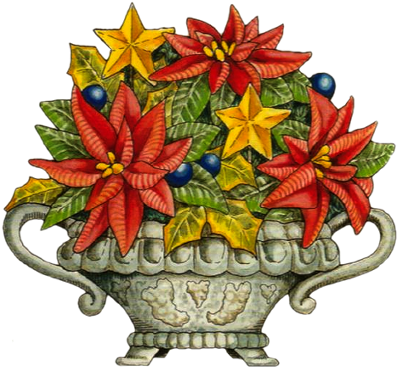 Poinsettia In Pots - Christmas Day (405x378)