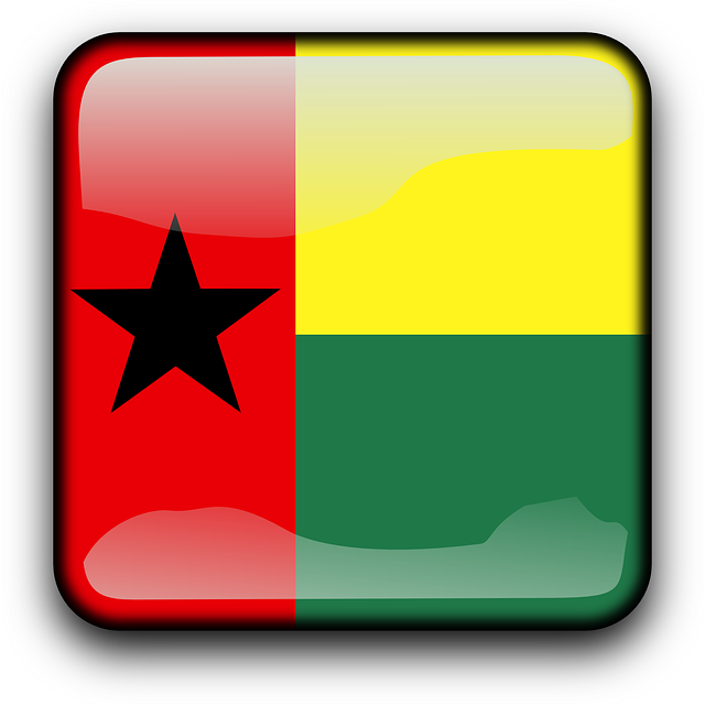 Brazil-156205 - Flag Of Guinea-bissau (640x640)
