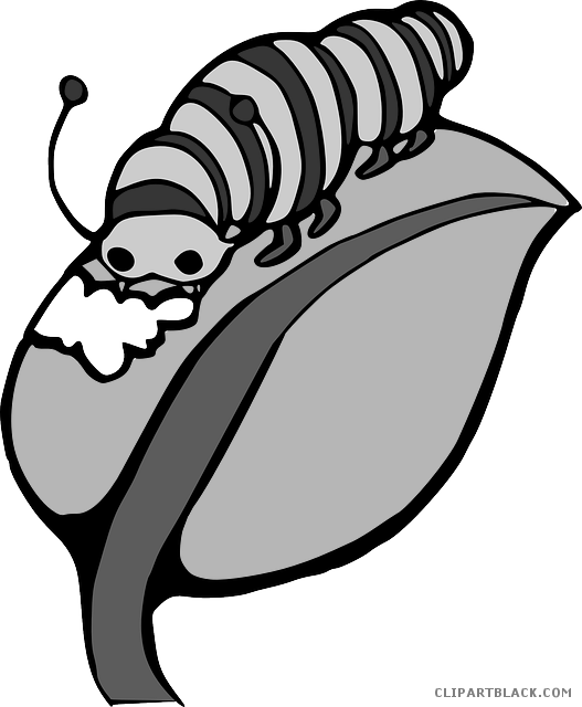 Caterpillar Animal Free Black White Clipart Images - Catterpillar (527x640)