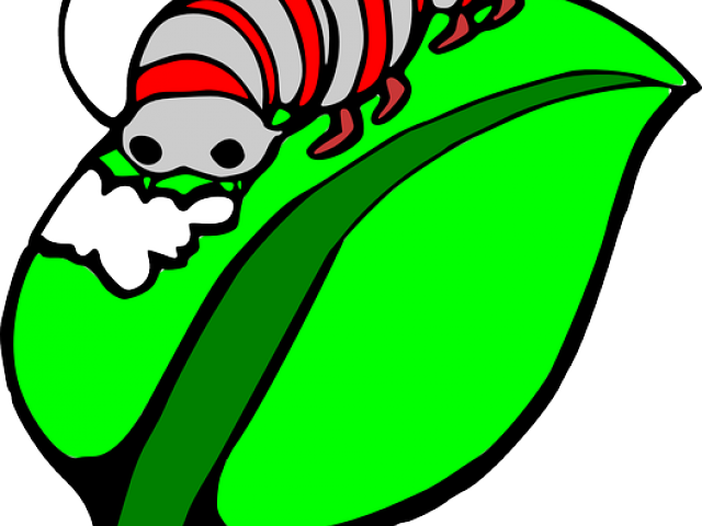 Caterpillar Clipart Leave - Catterpillar (640x480)
