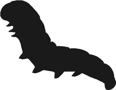 Caterpillar Png - Silhouette Chenille (500x500)