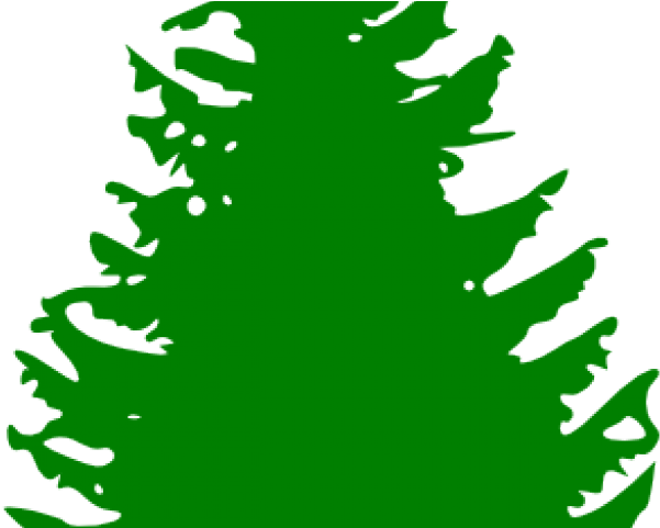 Pine Clipart Cedar Tree - Pine Tree Silhouette Vector (640x480)