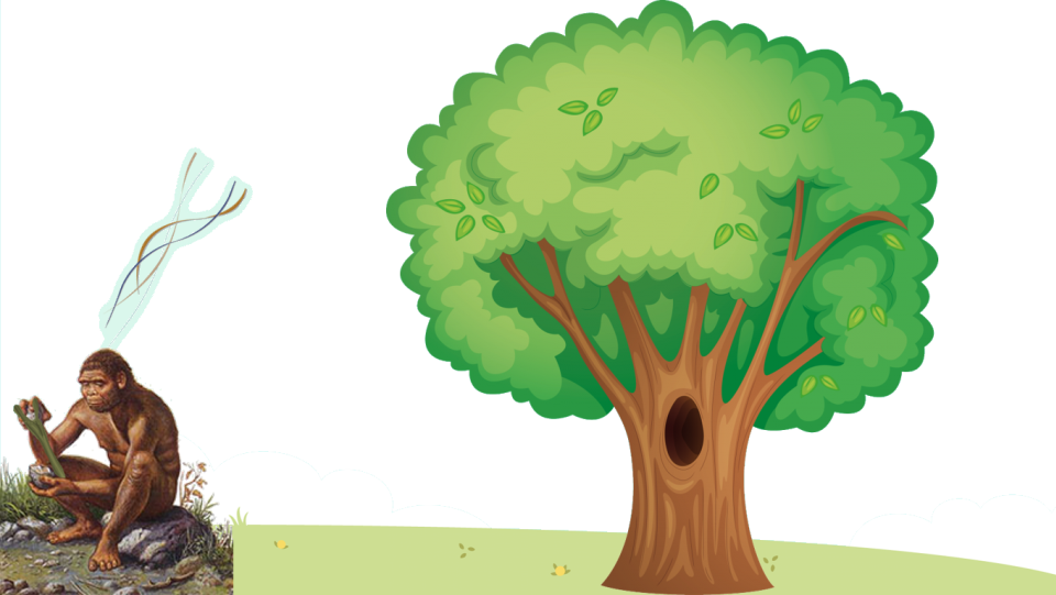 El Árbol - Tree With Hole Clipart (960x541)