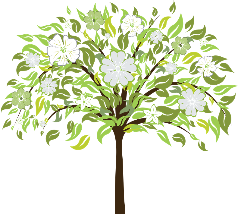 Resultado De Imagen Para Summer Tree - Beautiful Trees Vector (790x710)