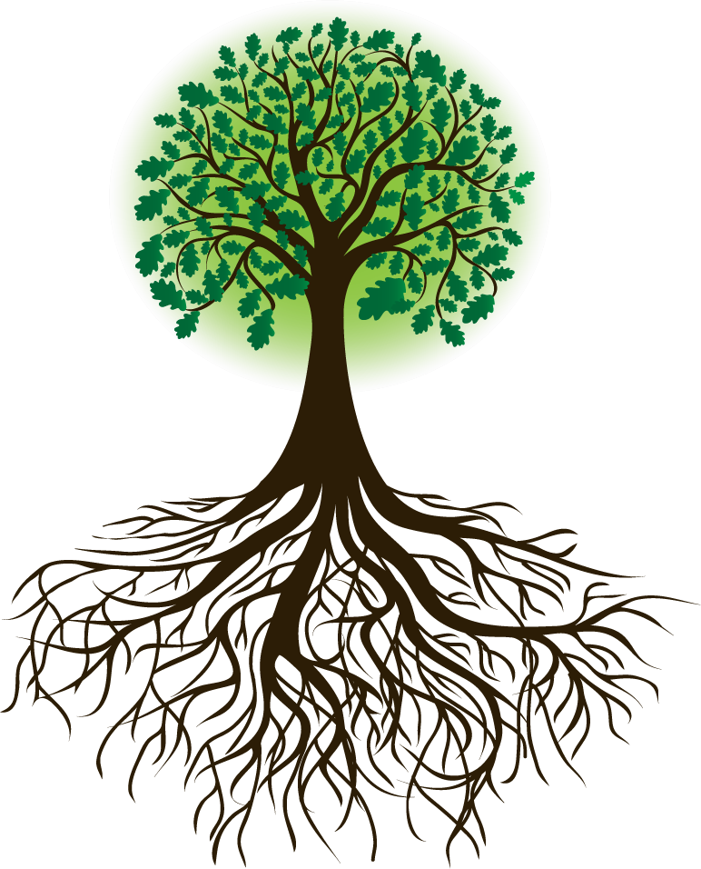 Arbol Raices Borges - Tree With Roots Drawing (772x956)