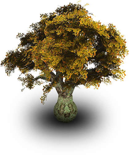 Descargar Png Descargar Ico - Tree Png Hd Img (512x512)