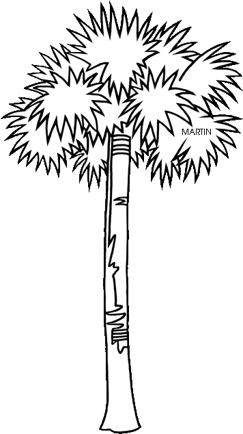 Palm Tree Clipart Sabal - South Carolina State Tree (368x648)