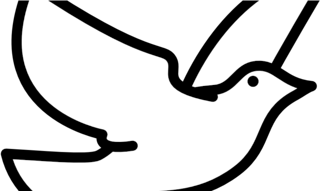 Dove Clipart Photos - Dove Clip Art Png (678x381)