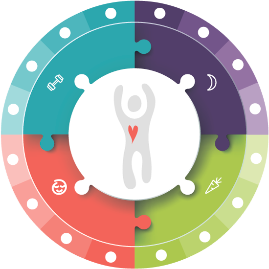 Queit Time Family & Relationships Macros Gut Health - Wheel Of Wellness (570x555)