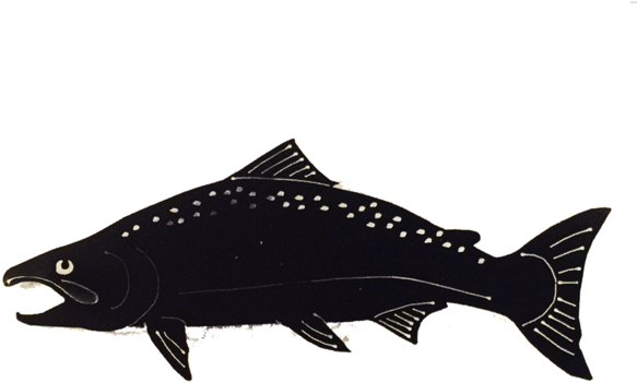 Anvil Island- Plasma Cut Salmon, - Anvil Island (600x450)