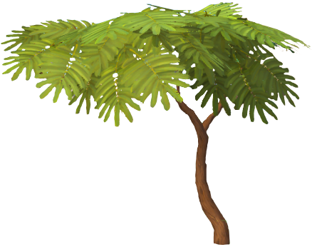 Acadia Logs - Palm Tree (438x346)