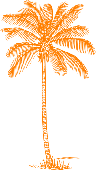 Coconut Tree Clipart Black And White (336x596)
