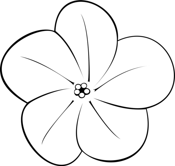 Charming Plumeria Flower Rubber Stamp Flower Amp Leaf - Rubber Stamp (600x572)