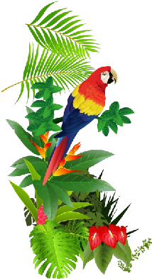 Pin Tropical Bird Clipart - Tropical Birds Png Format (400x400)