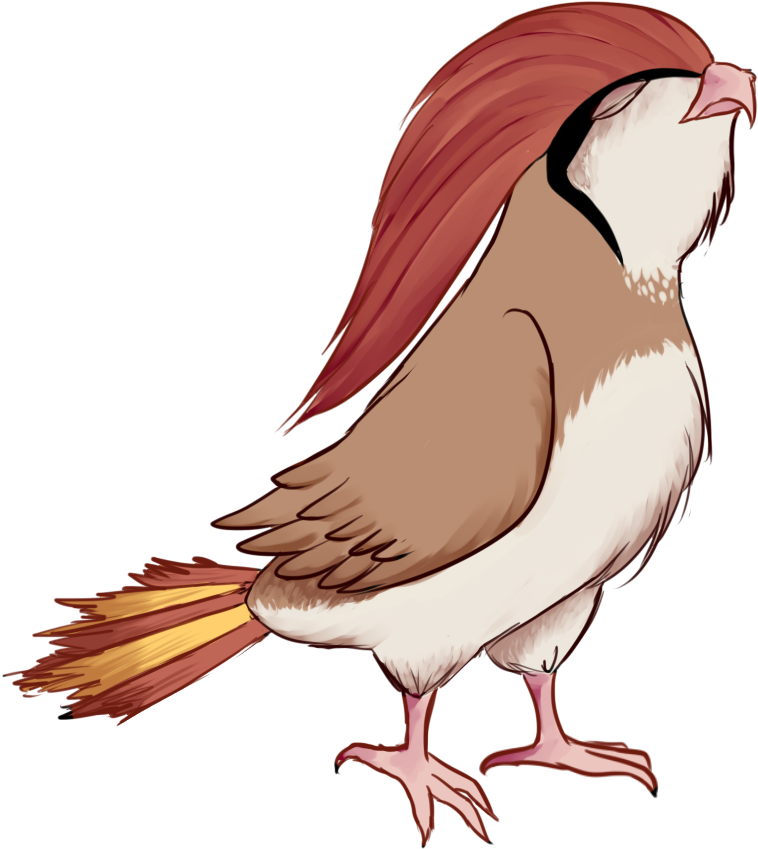 [pg] Evolucion Pidgeotto By Drakul-huntress - Pidgeotto Evolucion (1024x1024)