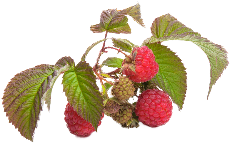 Krema Za Lice Od Jagode (960x641)