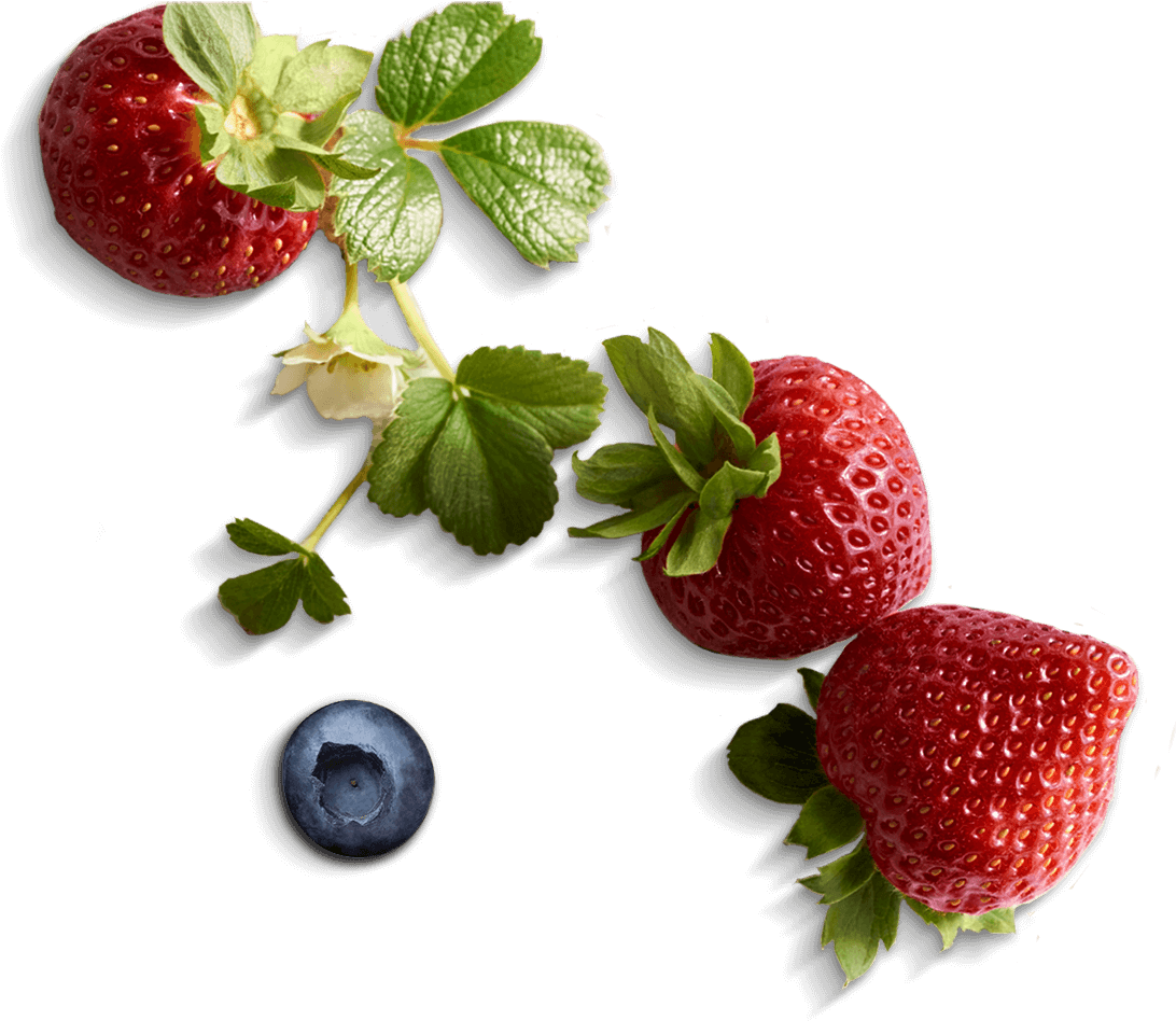 Fresh Berries - Food (1097x955)