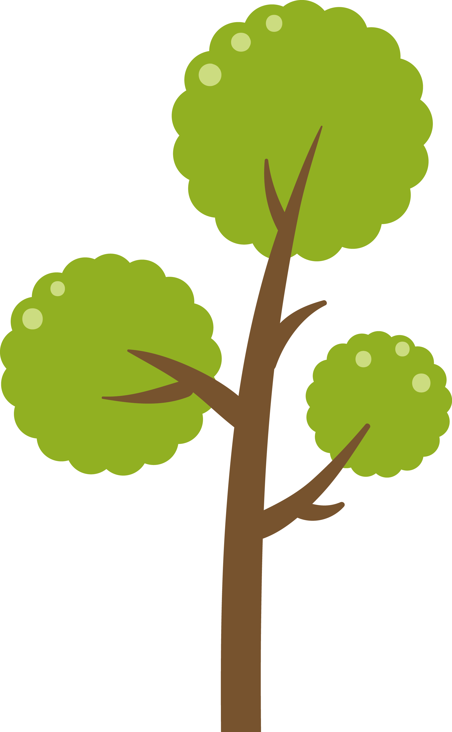 Green Tree Vector Diagram - Tree Vector Png (1817x2944)