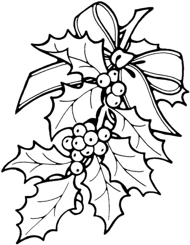 Printable Christmas Ornament Patterns - Holly Coloring Pages (796x1024)