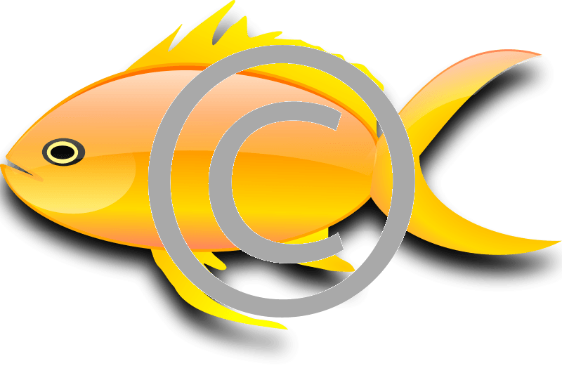 Png Tigerstock - Gold Fish Clip Art (800x521)