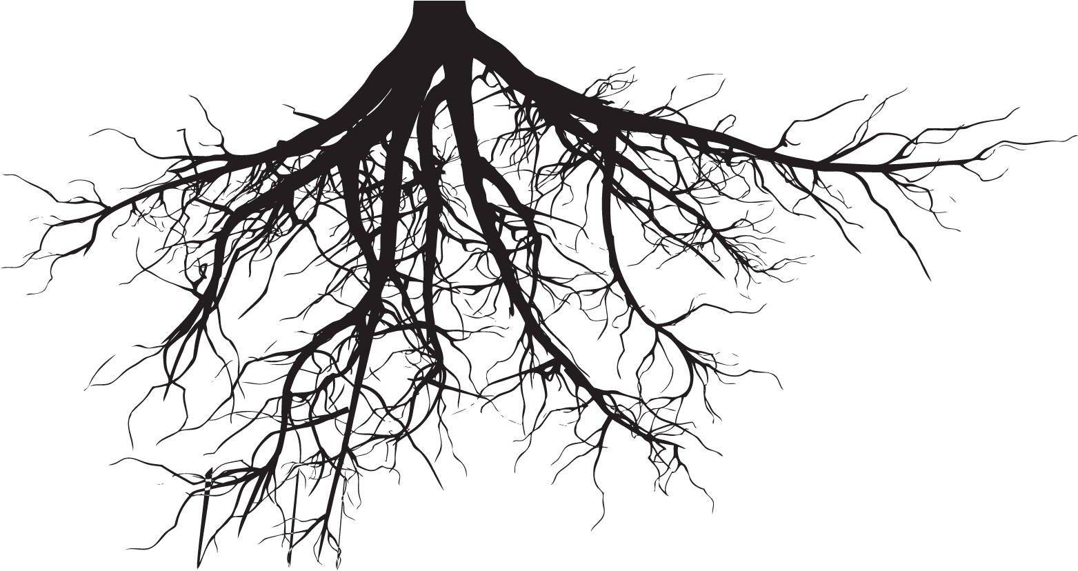 Just The Tip - Tree With Roots Silhouette (2000x848)