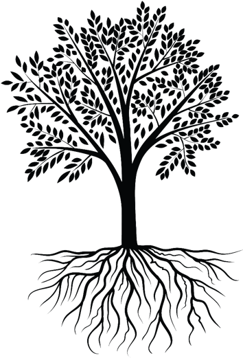 Plant Roots Png Download - Tree Root Vector Png (520x520)
