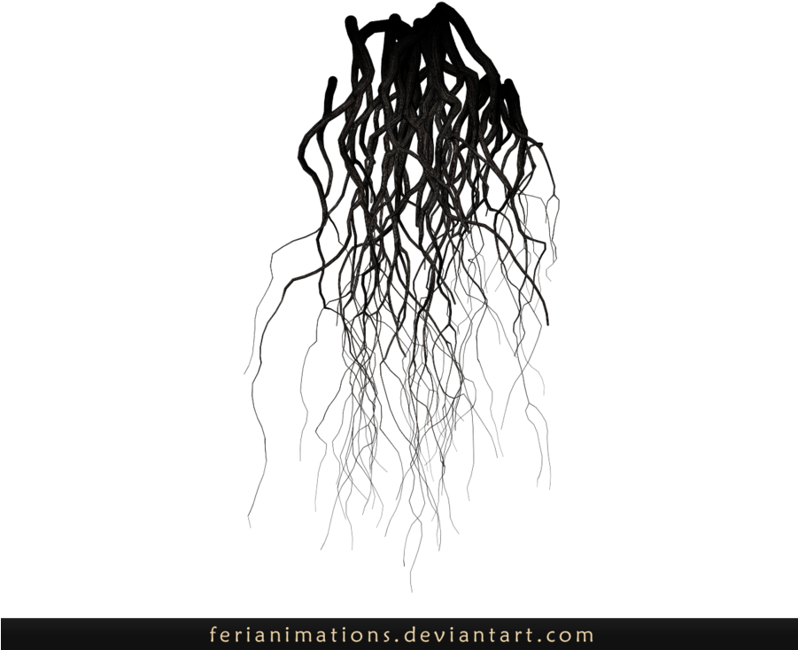 Roots Stock By Ferianimations - Transparent Background Roots Png (900x792)