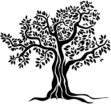 Old Olive Tree Monochrome Wall Sticker - Vector Tree Olives (374x352)