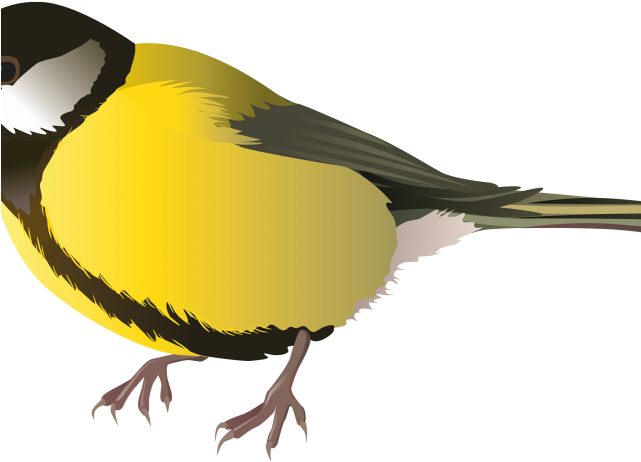 Brown Bear Clipart Finch Bird - Clip Art (640x480)