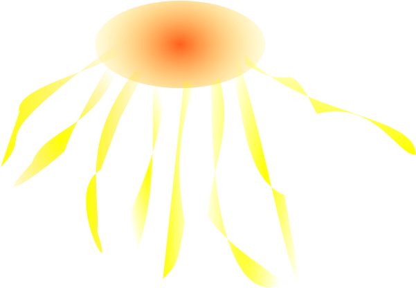 Jellyfish Vector Png - Clip Art (1086x750)
