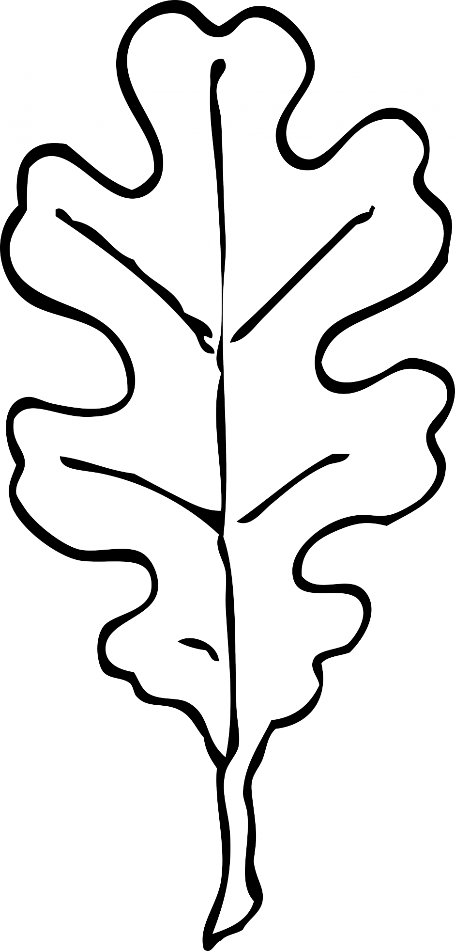 Oak - Leaves - Coloring - Pages - Oak Leaf Clip Art (940x1962)