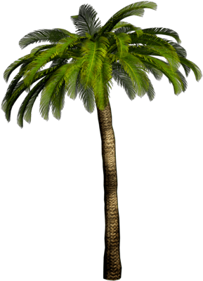 / Pixels, Palm Trees On The Beach - Palm Png (400x400)