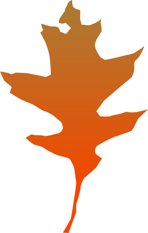 Free Leaf Oak - ใบ โอ๊ ค (508x800)