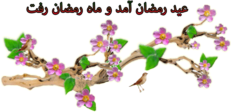 ر - Exo Terra Forest Branch Large (6" X 6" X 24") (1024x639)