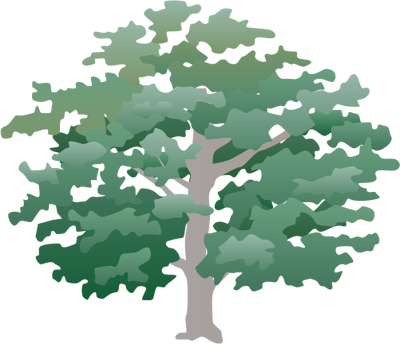 Ian Symbol Quercus Alba - School (400x344)