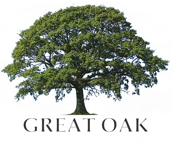 November 3, 2017 - Can You Find These Trees? (578x480)