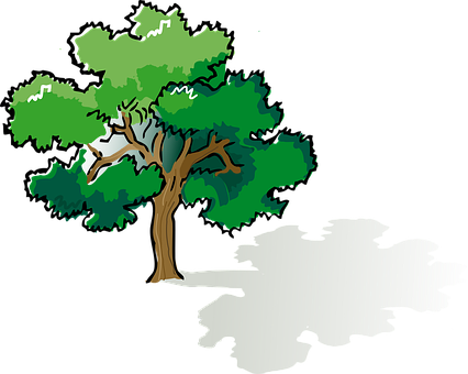 Oak Color Plant Tree Ecology Environment N - Tree Shade Clipart (426x340)