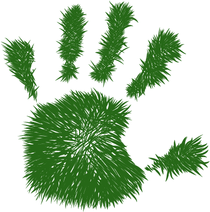 Contact - Various Artists / Organic Beats, Vol. 2 (451x495)