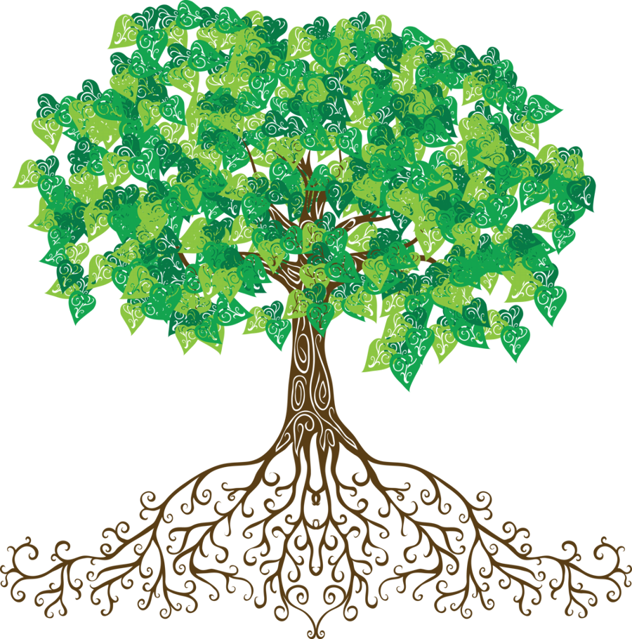 Psalm - Transparent Tree Of Roots (900x910)