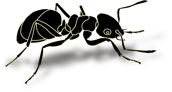 Ant With Shadow Clip Art At Clker - Transparent Ant (600x321)