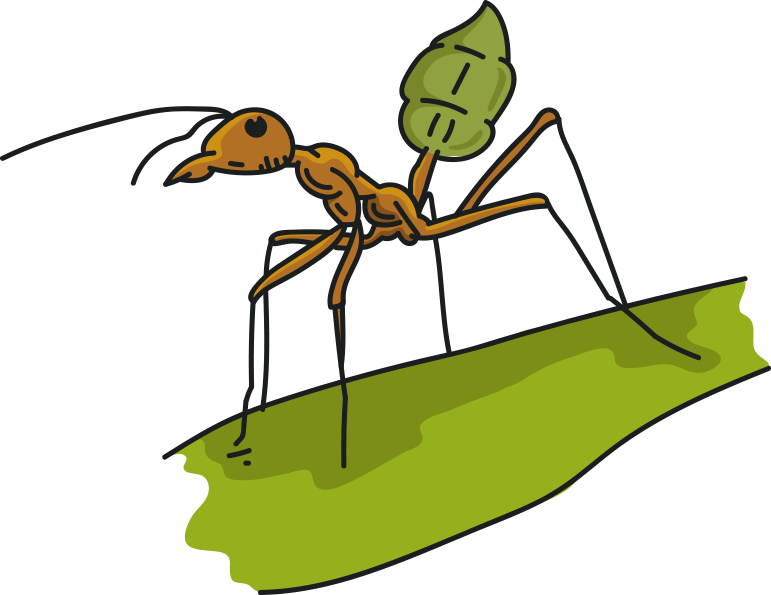 Green Ant Tea - Green Ant Tea (771x595)