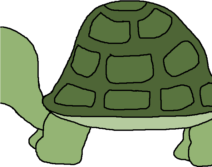 Turtle Clip Art Free Download Free Turtle Cliparts - Clip Art (678x555)
