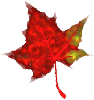 Leaves Clipart Red Fall Leaves - Small Pics Of Leaves (600x537)