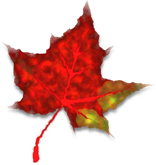 Maple Leaf Image 22, Buy Clip Art - Lá Phong Đỏ Rơi (1280x1168)