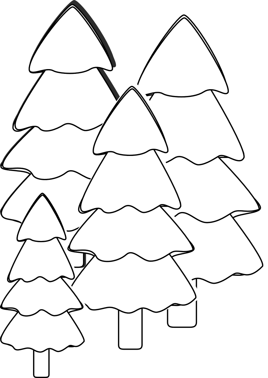 How To Draw A Christmas Tree, Coloring - Pohon Cemara Hitam Putih (909x1280)