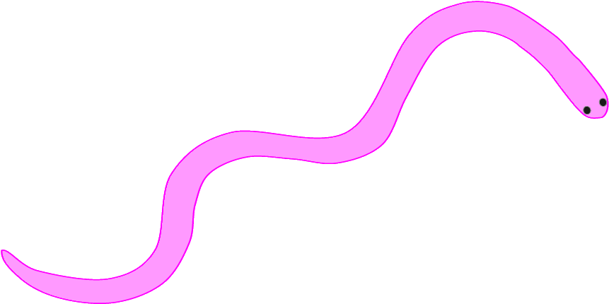Cute - Worm Transparent Clip Art (886x453)
